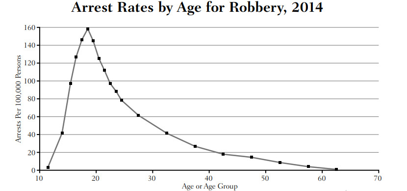 A chart showing the age-crime curve.
