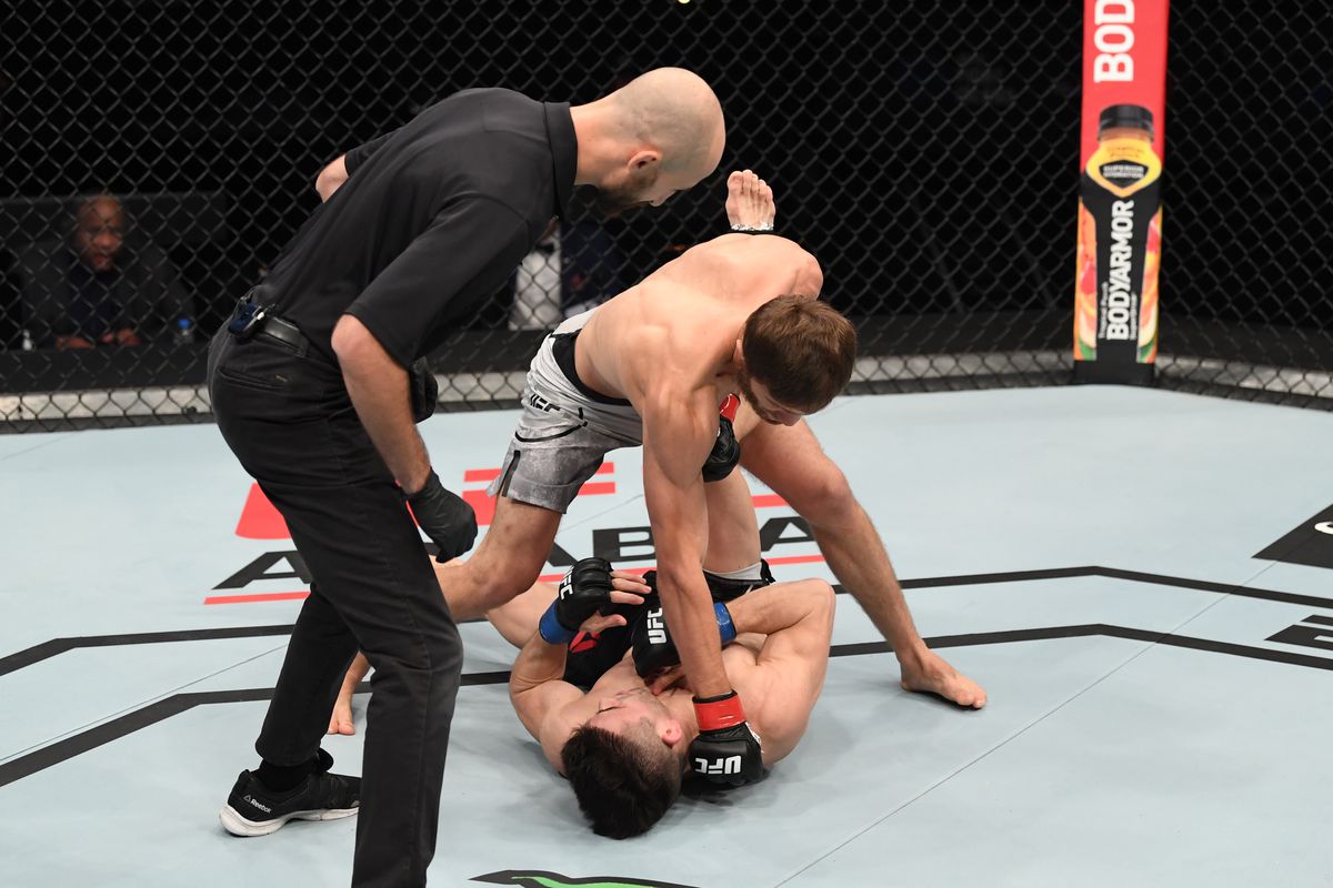 UFC Fight Night: Nurmagomedov v Striegl