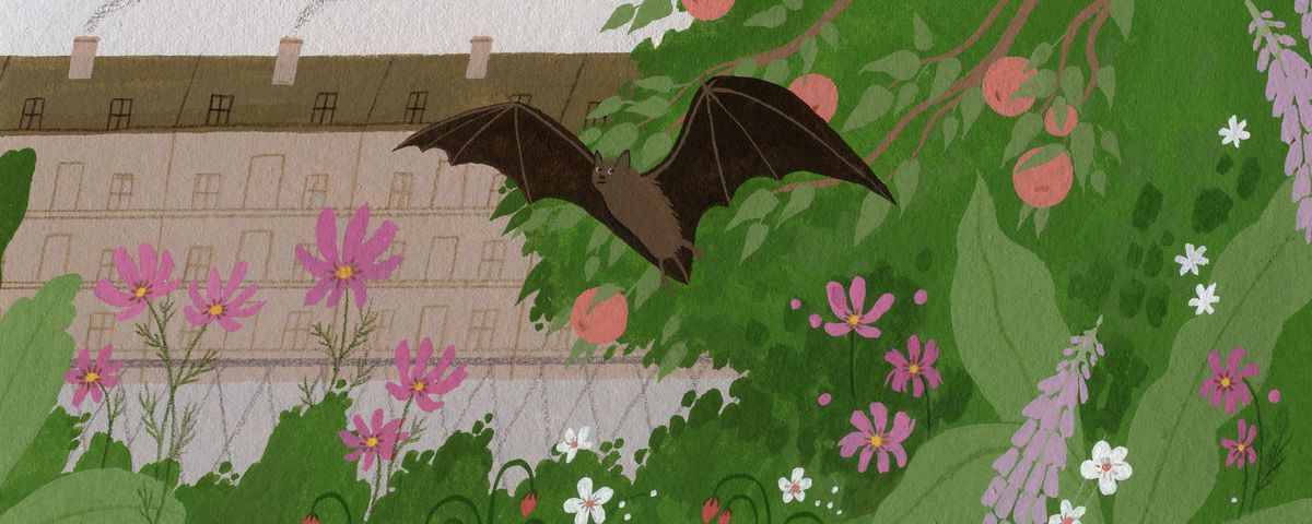 A bat flies through a lush garden with blooming pink and white flowers and lilac. In the background there is a chainlink fence and a gloomy-looking building emitting smog. Illustration.