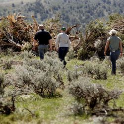 Utah Department of Natural Resources and its federal partners walk past a row of downed pinion juniper trees during a tour of a wildlands restoration project at the Sheeprocks Sage-grouse Management Area in Tooele County on the Uinta-Wasatch-Cache National Forest on Thursday, April 21, 2016.