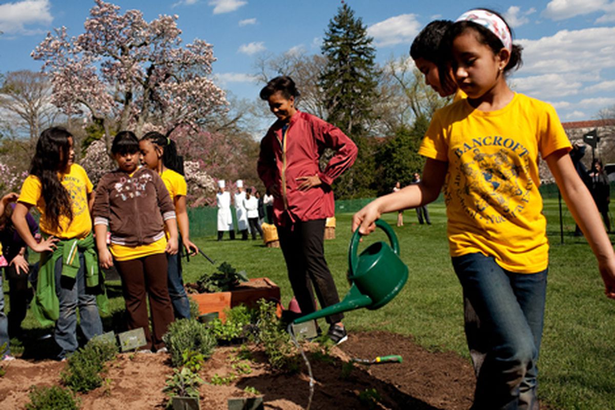 Michelle Obama gardening for the children <a href="http://www.flickr.com/photos/whitehouse/3630249732/">from the White House Flickr Pool</a>