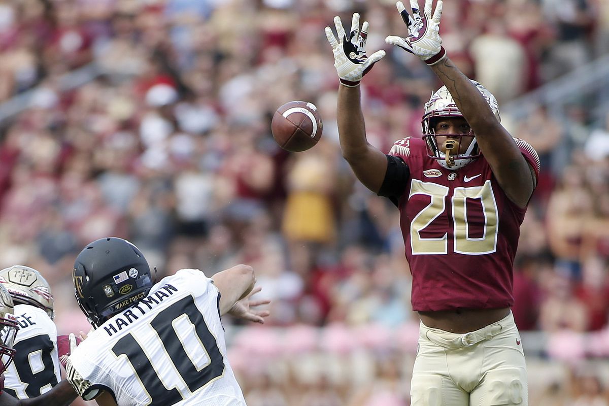 NCAA Football: Wake Forest at Florida State