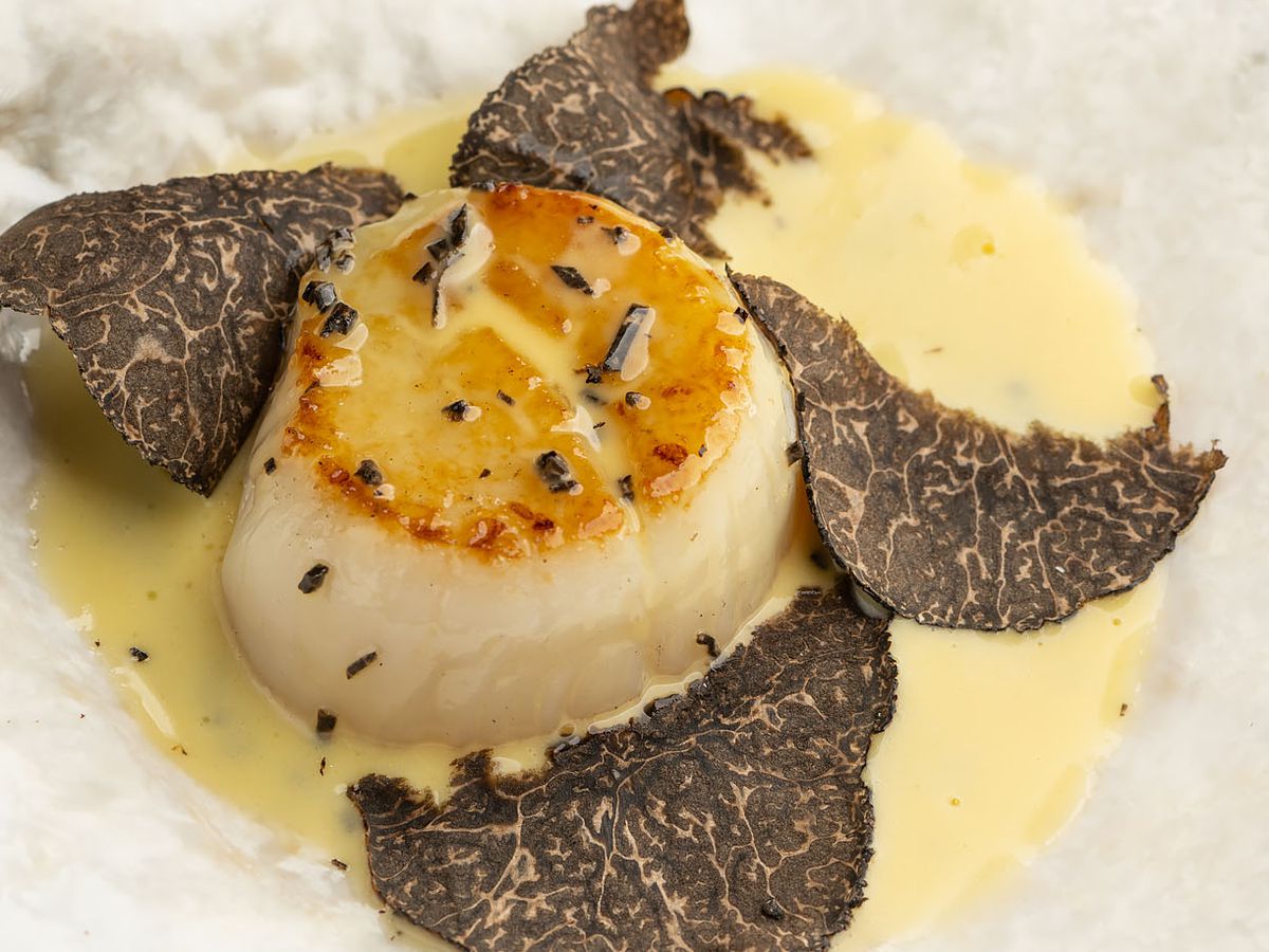 Scallop with truffles at Manzke.