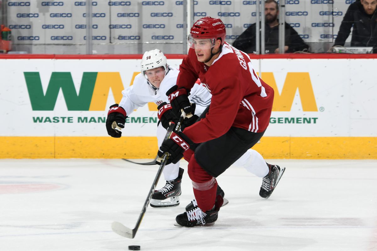 Arizona Coyotes Rookie Red and White Scrimmage