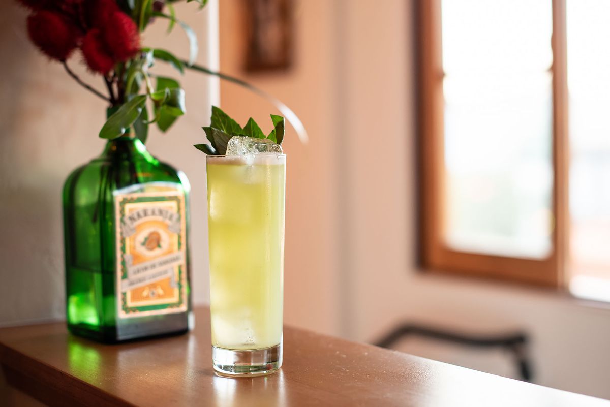 Light green cocktail with garnish on a counter with flowers in the background.