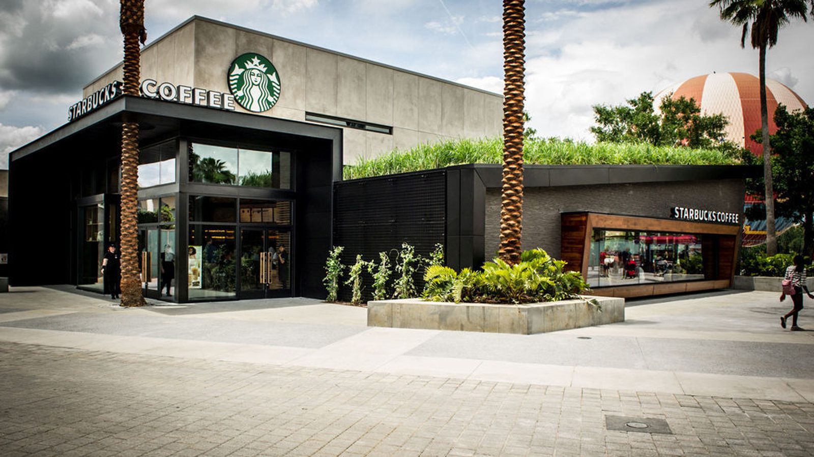 Starbucks Opens Disney World Location with Moss Art and