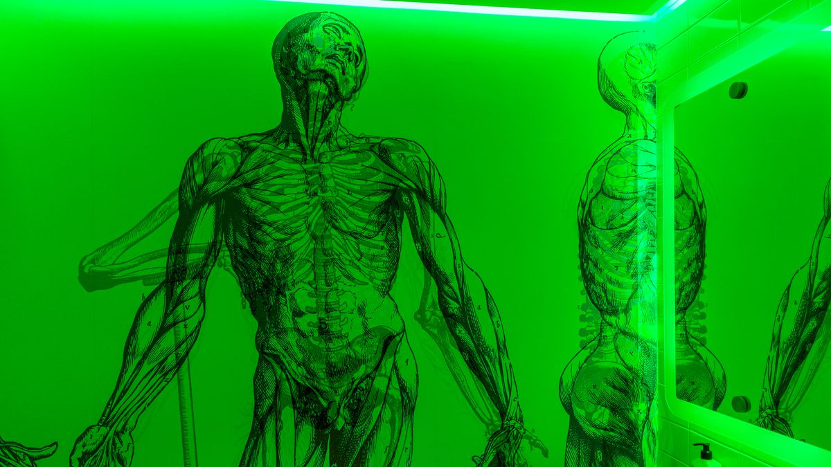 A picture of a green wall with a skeleton, seen inside the bathroom of Enoteca Nostrana