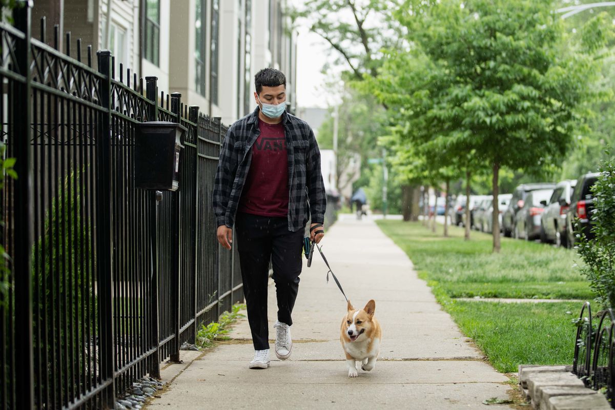 Paul Medrano, a dog walker at Kim Walks Dogs, walks his client’s dog, Daisy, around the Logan Square neighborhood, Thursday afternoon, May 27, 2021.