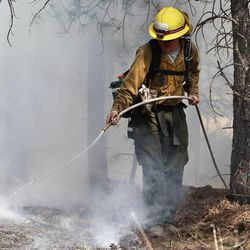 An AmeriCorps volunteer firefighter assigned to the El Paso County Sheriff's Office sprays water to contain a spot fire in an evacuated area of residences, forest, and ranches in the Black Forest wildfire area, north of Colorado Springs, Colo., on Thursday, June 13, 2013.  The blaze in the Black Forest is now the most destructive in Colorado history, surpassing last year's Waldo Canyon fire, which burned 347 homes, killed two people and led to $353 million in insurance claims. (AP Photo/Brennan Linsley)