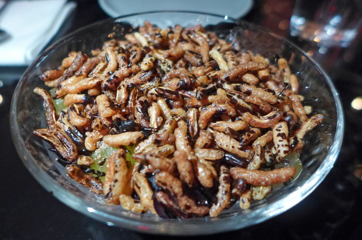 A bowl of what look like squirming insect larvae.