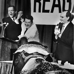 Sen. Orrin Hatch, R-Utah, presidential candidate Ronald Reagan and Sen. Jake Garn, R-Utah, react as an elephant is brought in to greet Reagan during the Republican state convention in June 1980.