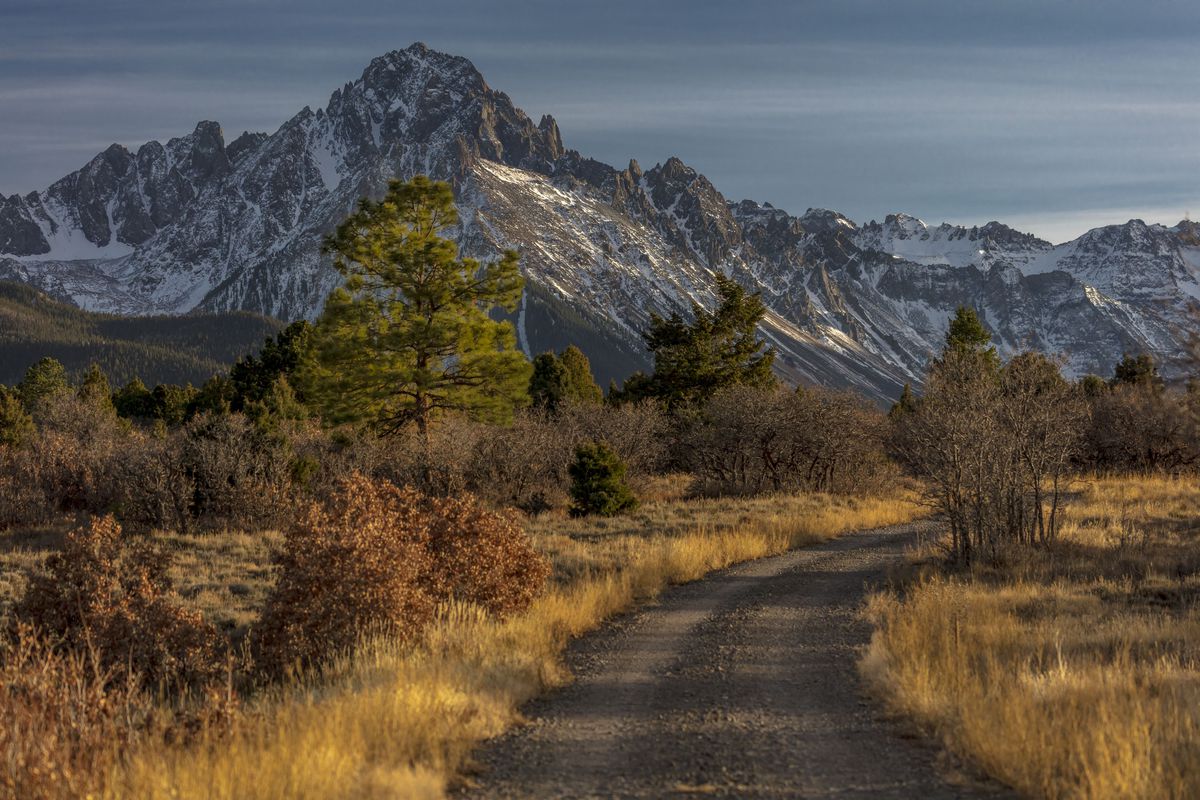 RIDGWAY, COLORADO, ‘Top of Pines’ Wilderness Area shows Road to Mount Sneffels
