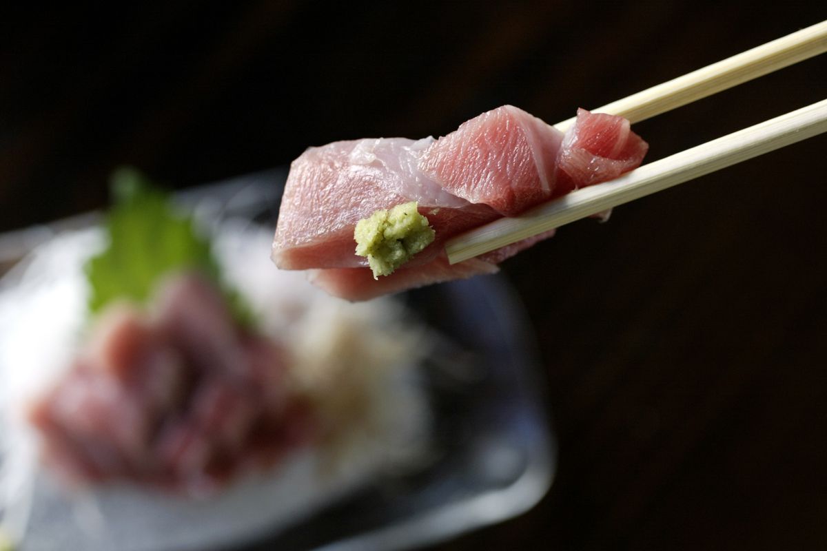 OToro sashimi with fresh wasabi at Kiriko sushi in West Los Angeles.