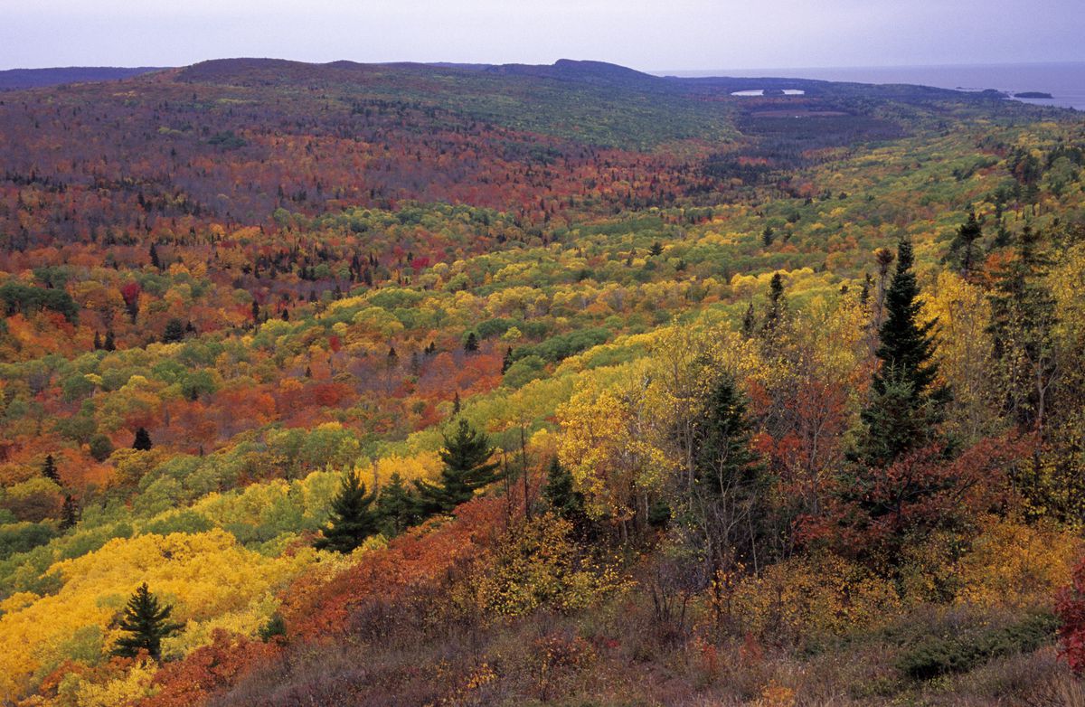 changing, America, foliage, USA, natural, autumn, North, view, Peninsula, Deciduous, change, Brockway, Keweenaw, overview, Lake, changes, vegetation, forests, Michigan, overviews, Northern, scenes, flora, Forest, views, habitat, fall, Drive, midwestern, habitats, Mountain, scenics, MI, scenic, Upper, scene, Coniferous, midwest, nature, Superior, landscapes, Eastern, American, landscape, mixed.