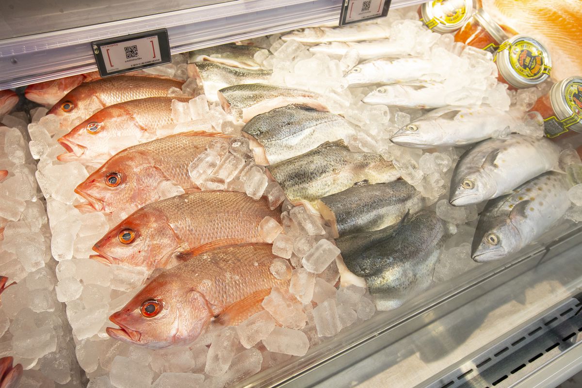 A grocery store cooler filled with whole fish.