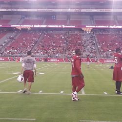 Patrick Peterson and Karlos Dansby