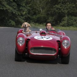 Enzo and Milo Ventimiglia in Twentieth Century Fox’s "The Art of Racing in the Rain."
