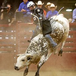 Nathan Schaper, from Grassy Butte, N.D., rides Mister Clark to win at the Day's of 47 PBR Rodeo at EnergySolutions Arena Monday, July 21, 2014, in Salt Lake City.