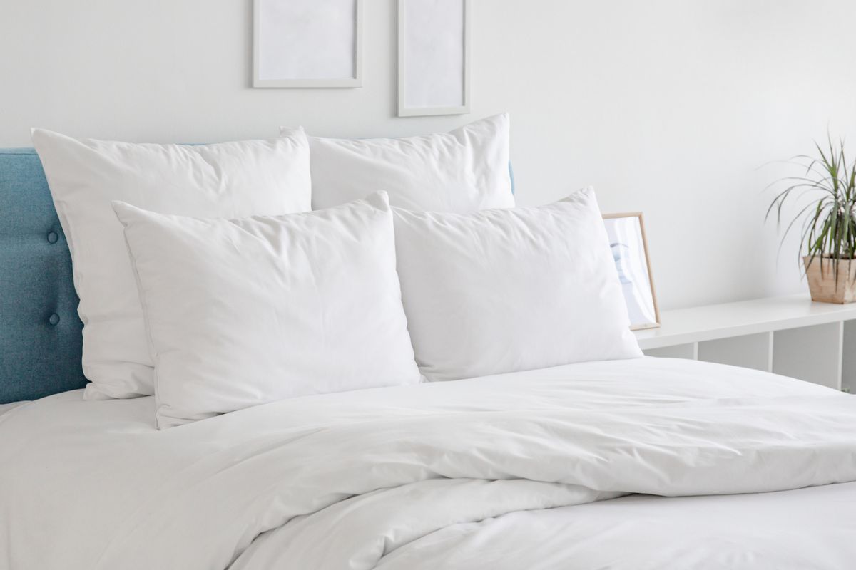 Single Flat Sheet-LUXURY PERCALE by Helena Springfield-Quality Bed Linen-CREAM