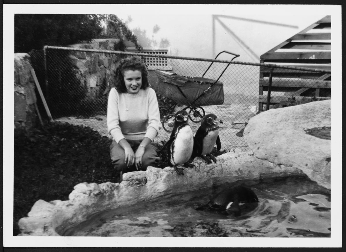 Marilyn crouches by a wading pool in a zoo enclosure next to three penguins. She looks very young, and her hair is long, dark, and curly.