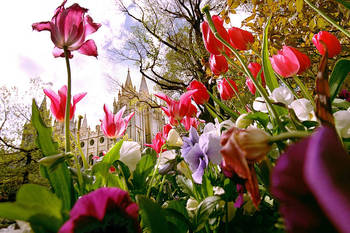 The gardens on Temple Square.  