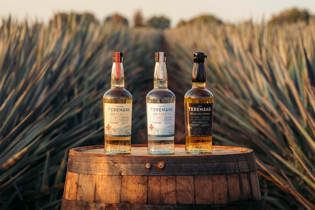 A photo of three bottles of tequila in an agave field.