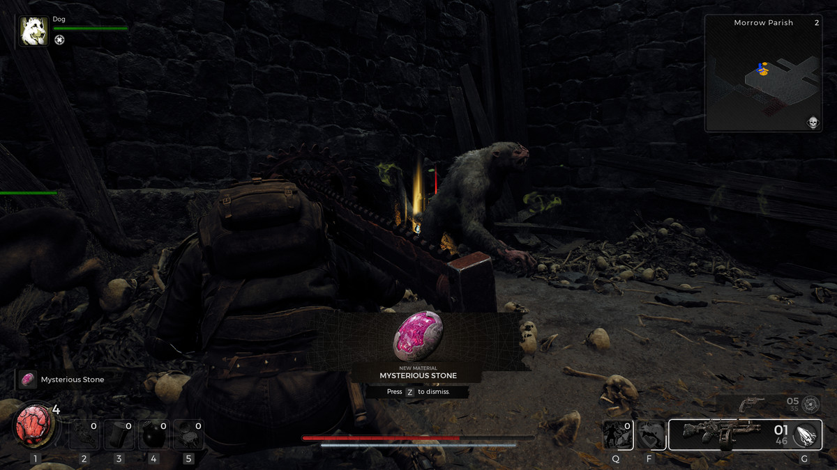A Remnant 2 player kills a bat-bear creature and picks up the Mysterious Stone while doing it