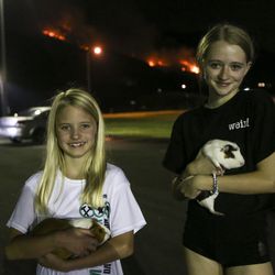 Nine-year-old Jocelyn Andreasen, left, and Paige Andreasen, 13, stand for a portrait with their guinea pigs, Peaches, left, and Millie in the parking lot of the Mountain View Baptist Church while the Snoqualmie Fire burns on a hillside east of Layton behind them on Tuesday, Sept. 3, 2019. The sisters reminded their parents to grab their pet guinea pigs as they were about to leave under evacuation orders and a local hotel broke their no pet rule to provide the family with a room for the night.