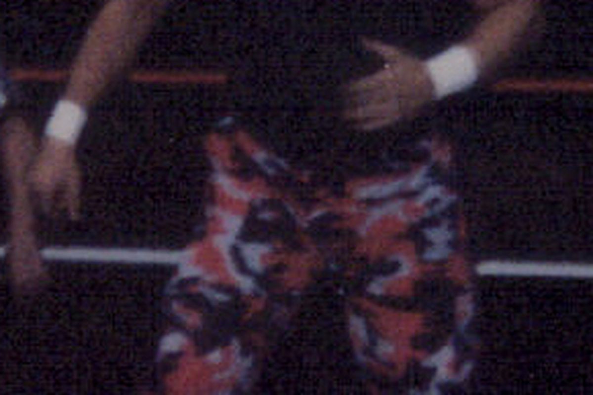 Barry Windham wrestling as The Stalker in the WWF in 1996.  Not one of the highlights of his career.  Photo via <a href="http://upload.wikimedia.org/wikipedia/commons/8/80/Barry_Windham_in_1996.jpg">upload.wikimedia.org</a>.