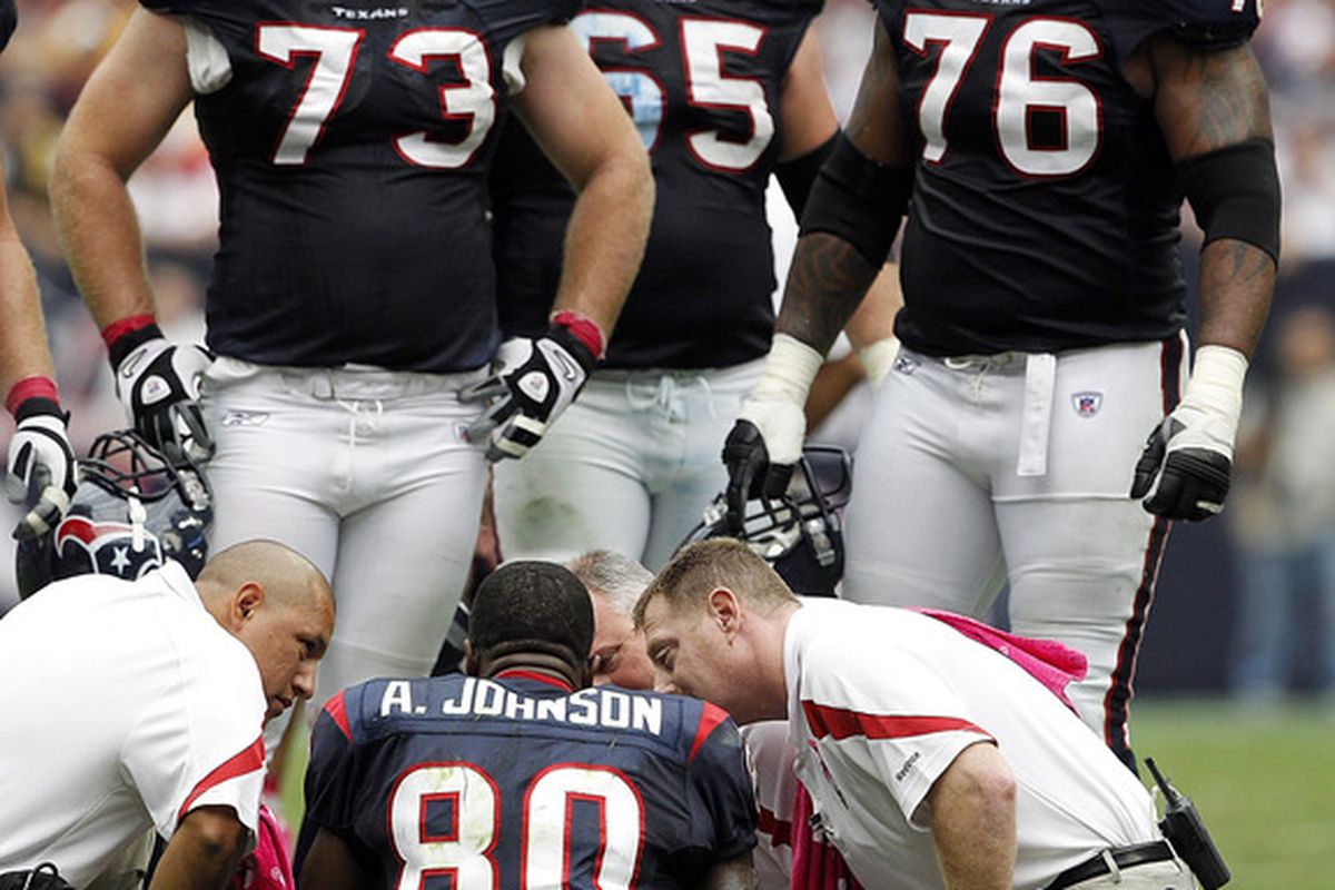 Eric Winston #73, Mike Brisiel #65 and Duane Brown #76 of the Houston Texans look on