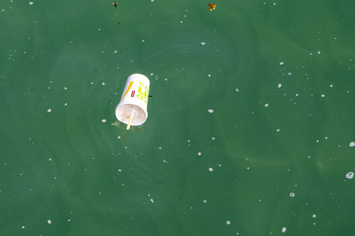 McDonald’s paper straws are not recyclable, like this McDonald’s cup floating in the sea