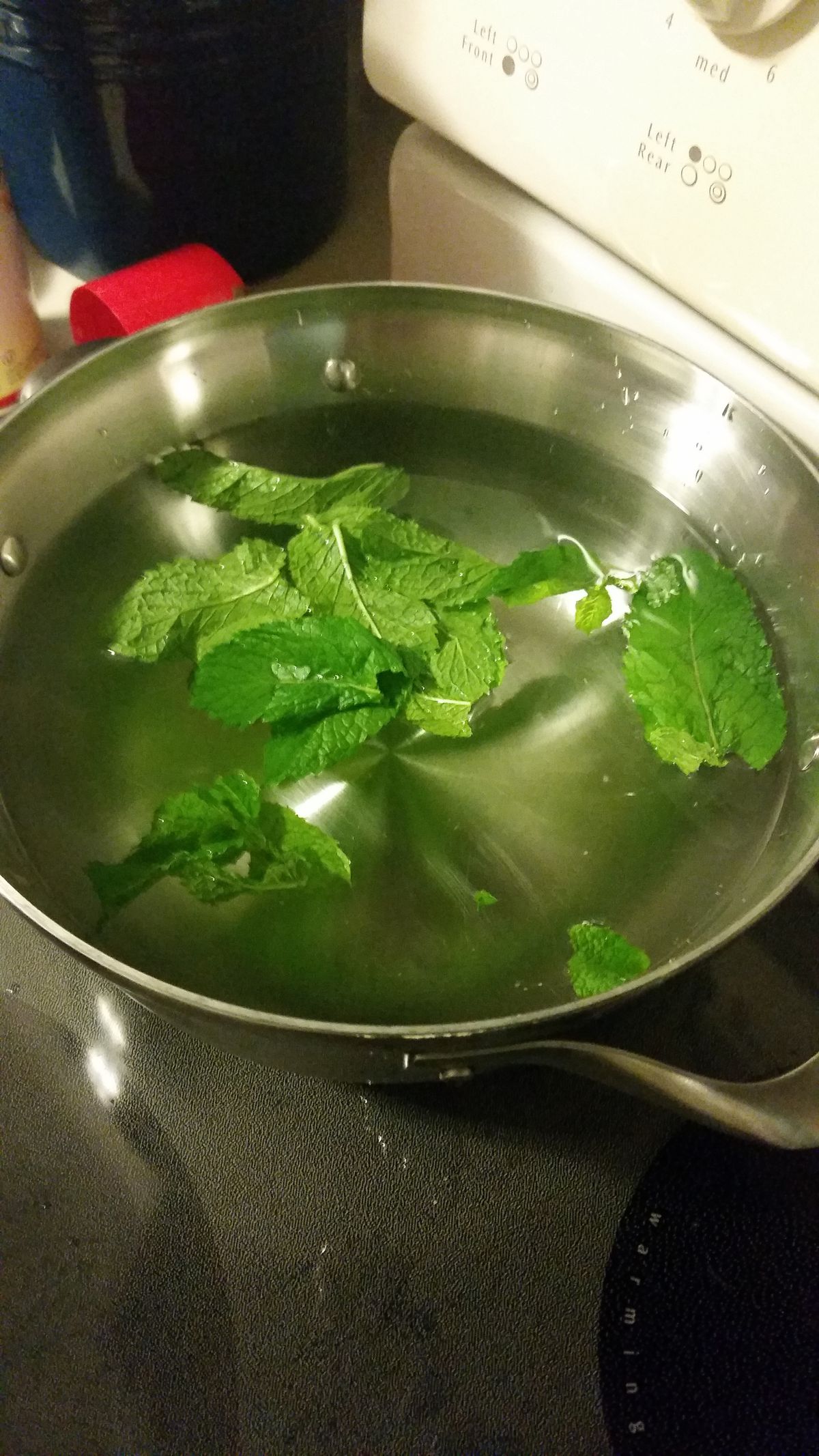 Mint Simple Syrup 1