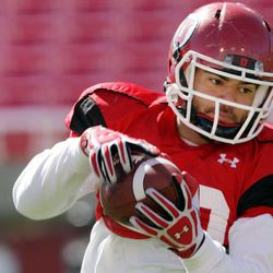 University of Utah tight end Westlee Tonga catches the ball during practice in Salt Lake City Tuesday, April 9, 2013.