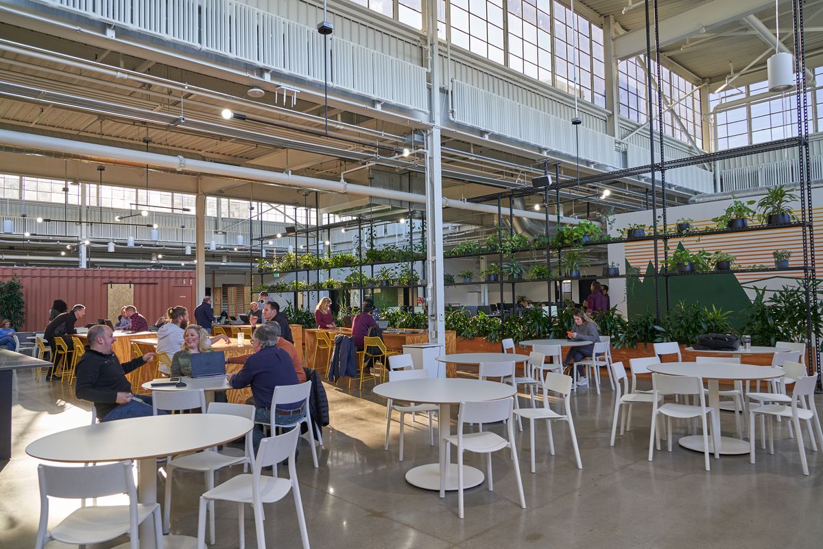 An large open space with white tables and chairs, and a red shipping container. There’s lots of black metal shelving with planters. 