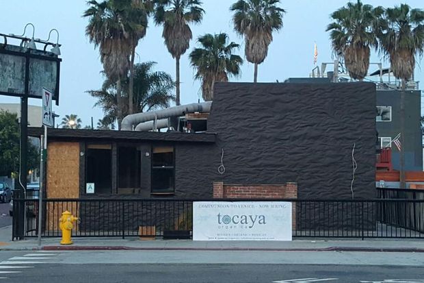 Toca Madera Brings Fast-Casual Tocaya Organica to Venice - Eater LA