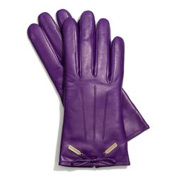 <a href="http://f.curbed.cc/f/Coach_SP_Racked_bowglove">Leather Bow Glove</a> in grape, $128