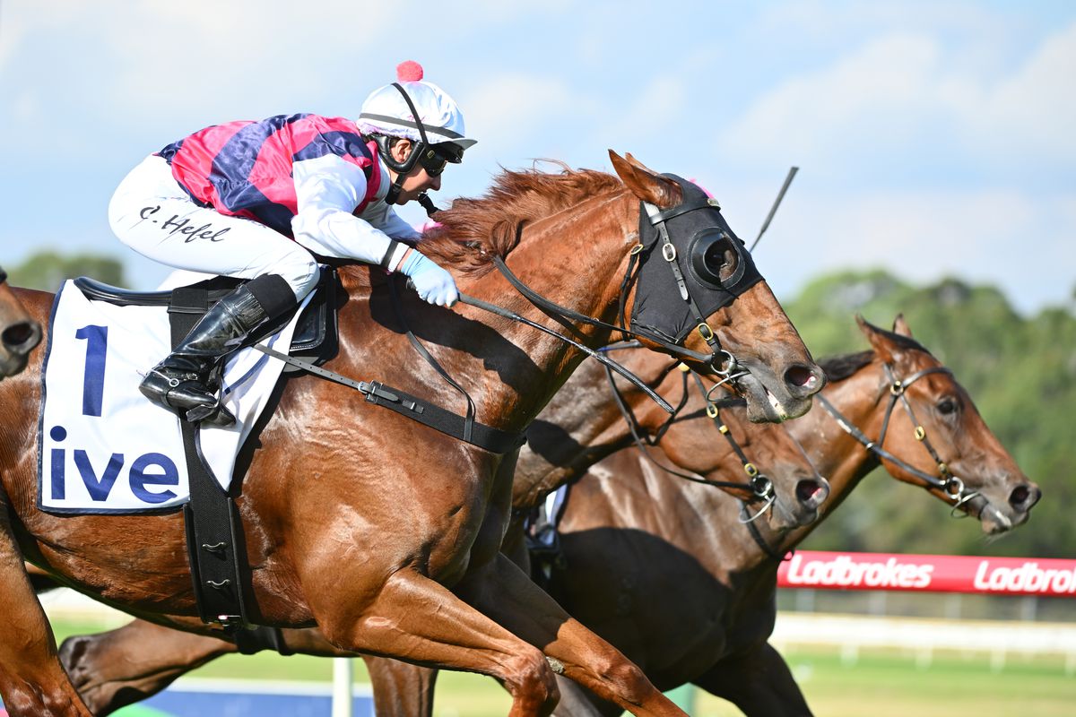 Carleen Hefel riding Mr Money Bags winning Race 5, the Ive Handicap, during Melbourne Racing at Sandown Hillside on March 22, 2023 in Melbourne, Australia.