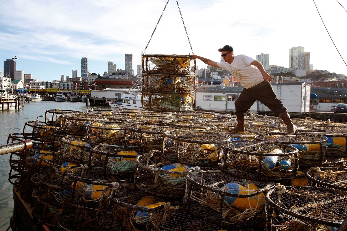 Bay Area Crab Season Endangered By Oil Spill