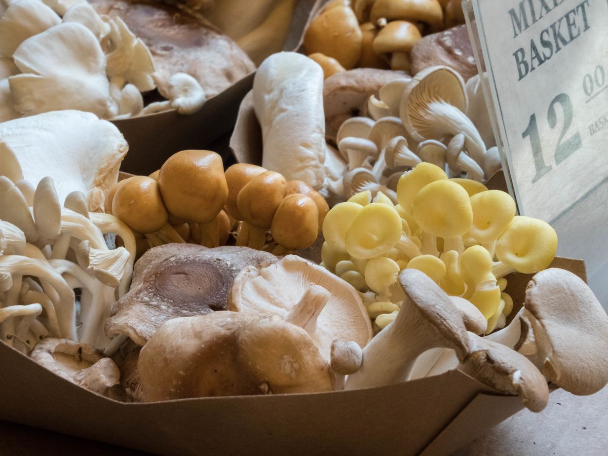A small basket of wild mushrooms for sale at the Ferry Plaza Farmers Market in San Francisco.