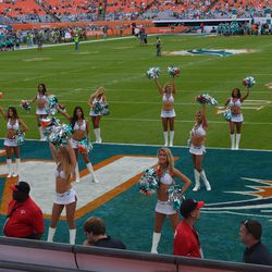 Dec. 15, 2013 Miami Gardens, FL - Dolphins cheerleaders perform pre-game as the Miami Dolphins prepare to face the New England Patriots.