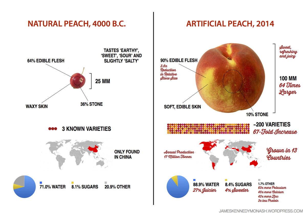 evolution of peaches