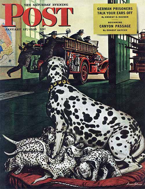 A mother dalmatian with a litter of spotted puppies waits in a firehouse as the firemen leap onto a moving fire engine and drive away, on the cover of The Saturday Evening Post. 