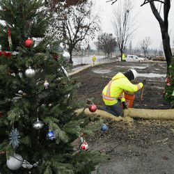 Framed between a pair of Christmas trees a worker secures a roll of wattle for erosion control in the wildfire damaged Coffey Park neighborhood, Monday, Jan. 8, 2018, in Santa Rosa, Calif. Storms brought rain to California on Monday and increased the risk of mudslides in fire-ravaged communities in devastated northern wine country and authorities to order evacuations farther south for towns below hillsides burned by the state's largest-ever wildfire. (AP Photo/Eric Risberg)