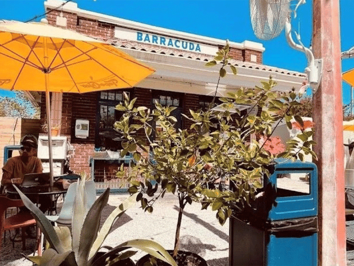 The brick exterior of a restaurant with a blue painted sign that says “Barracuda Taco Stand” and a yellow umbrella and plants on a patio in the foreground. 