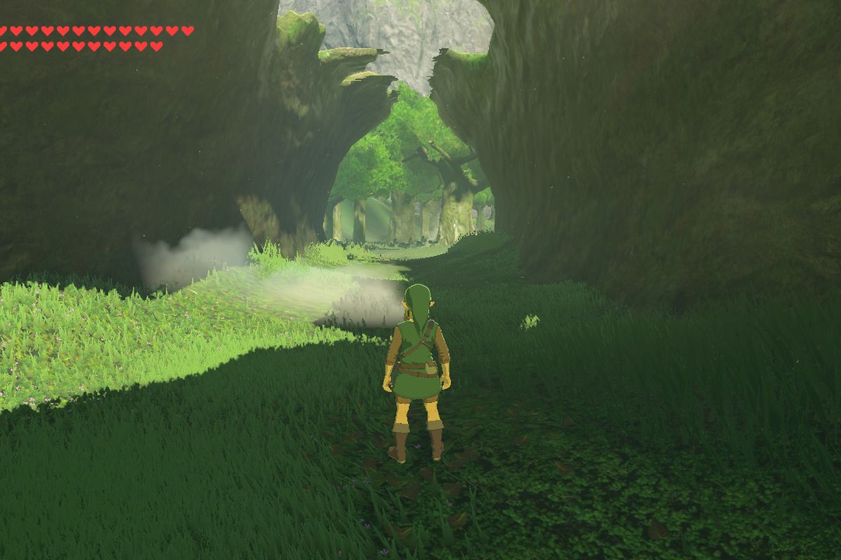 Link is standing and looking into a valley in The Legend of Zelda: Breath of the Wild.