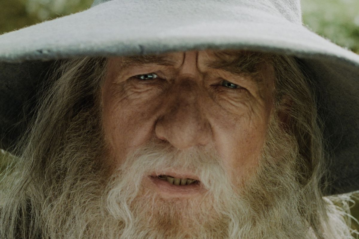 Ian McKellan as Gandalf the Grey making a “huh?” face in Lord of the Rings: Fellowship of the Ring