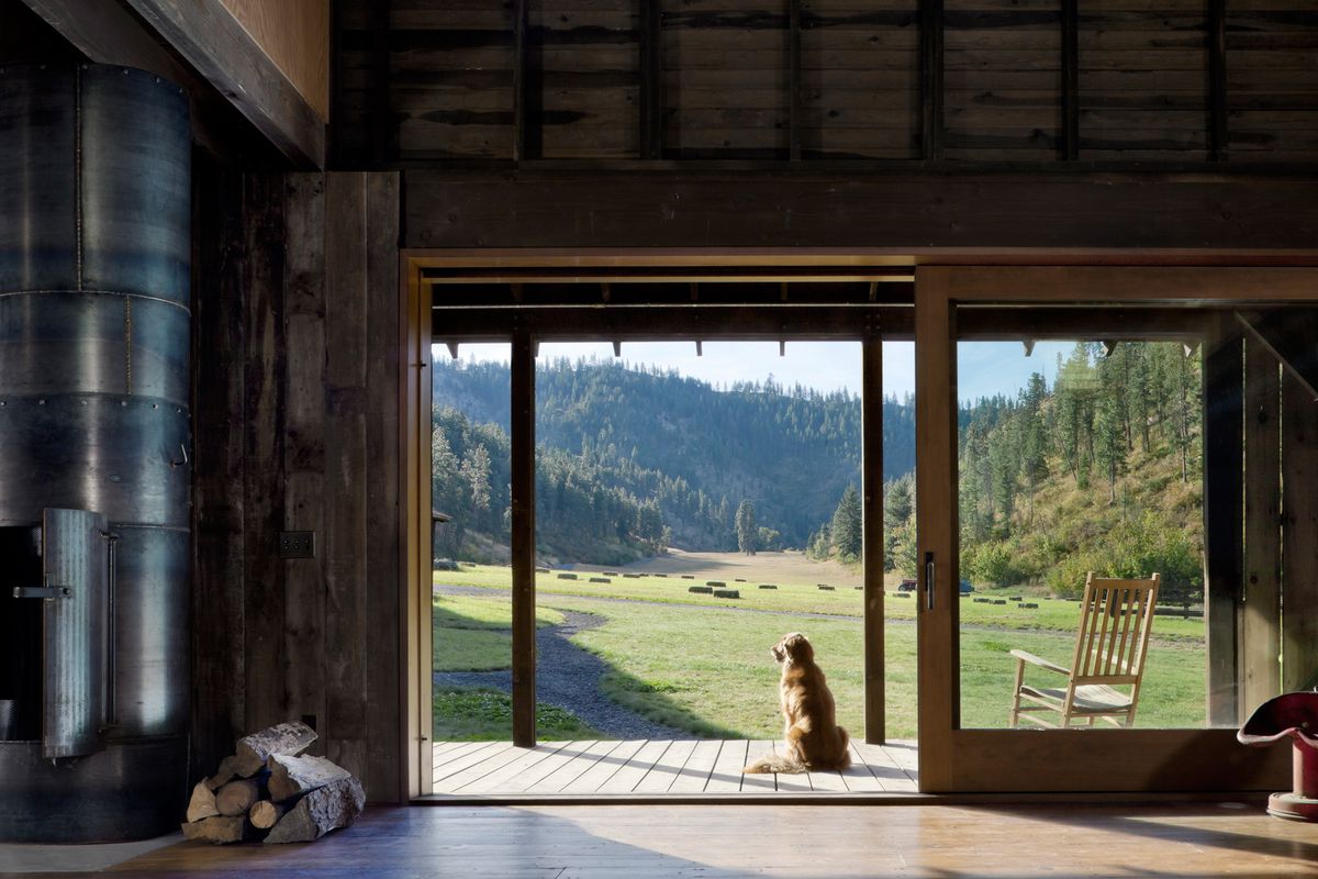 A dog sits in the doorway of a converted barn, facing away from the viewer and looking out a green, forested landscape.
