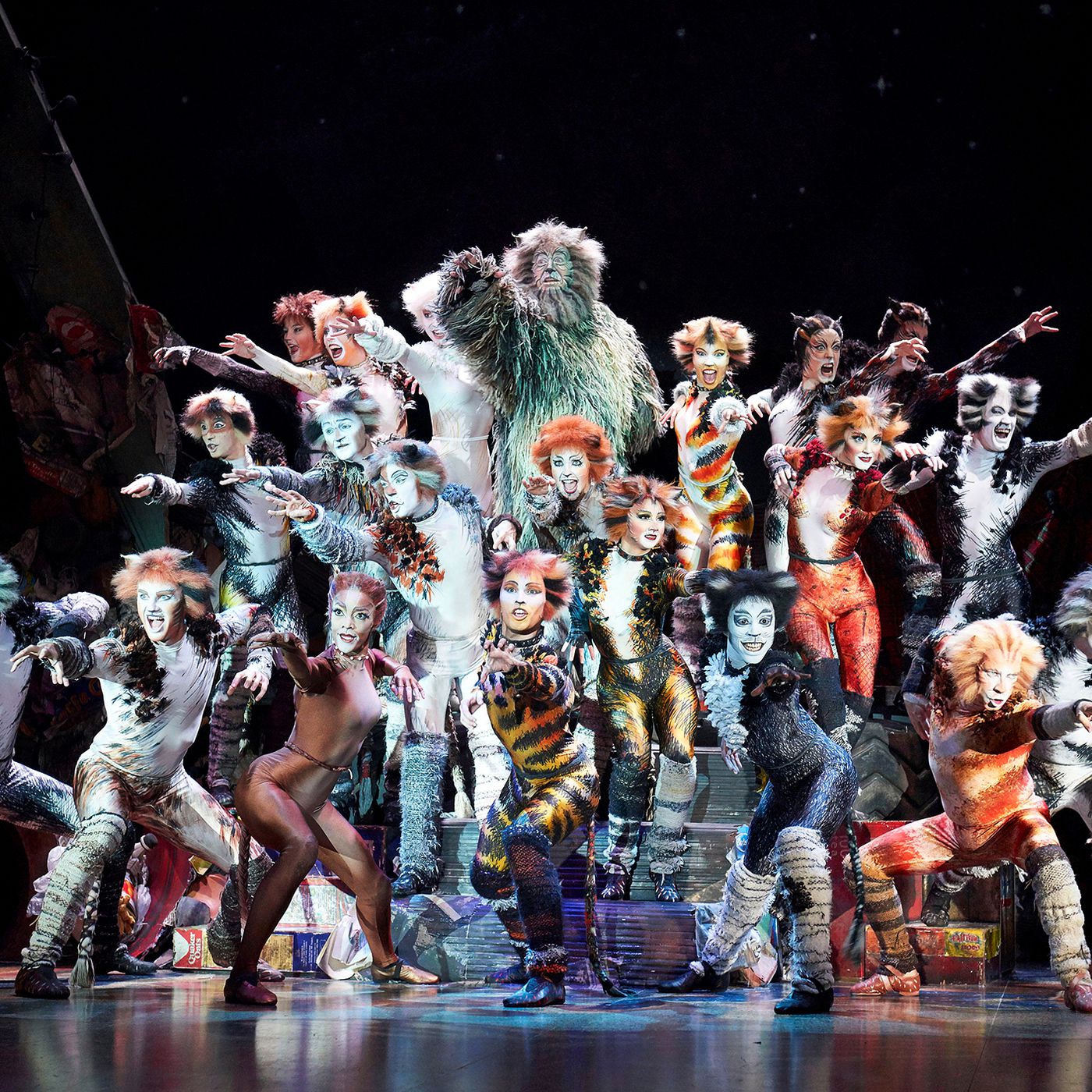 「cats musical」の画像検索結果
