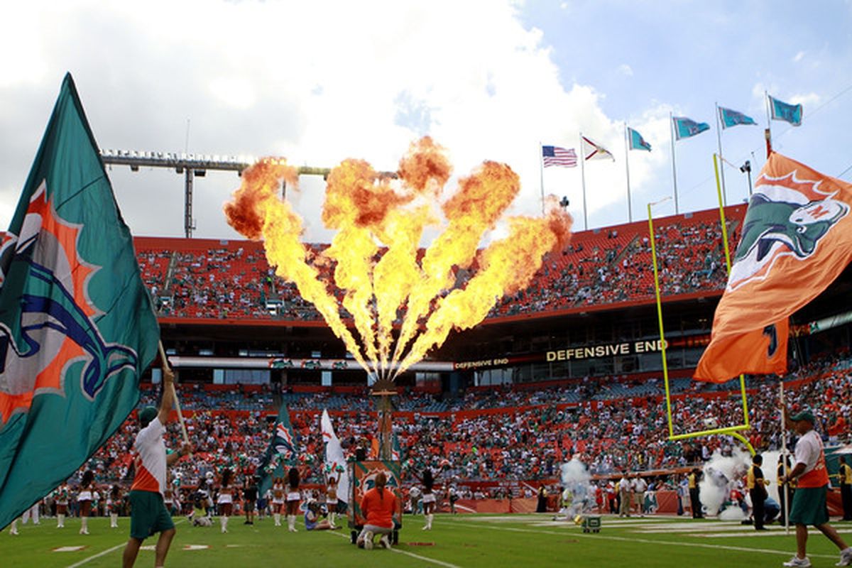MIAMI - NOVEMBER 14: Miami Dolphins players are introduced against the Tennessee Titans at Sun Life Stadium on November 14 2010 in Miami Florida.  (Photo by Marc Serota/Getty Images)