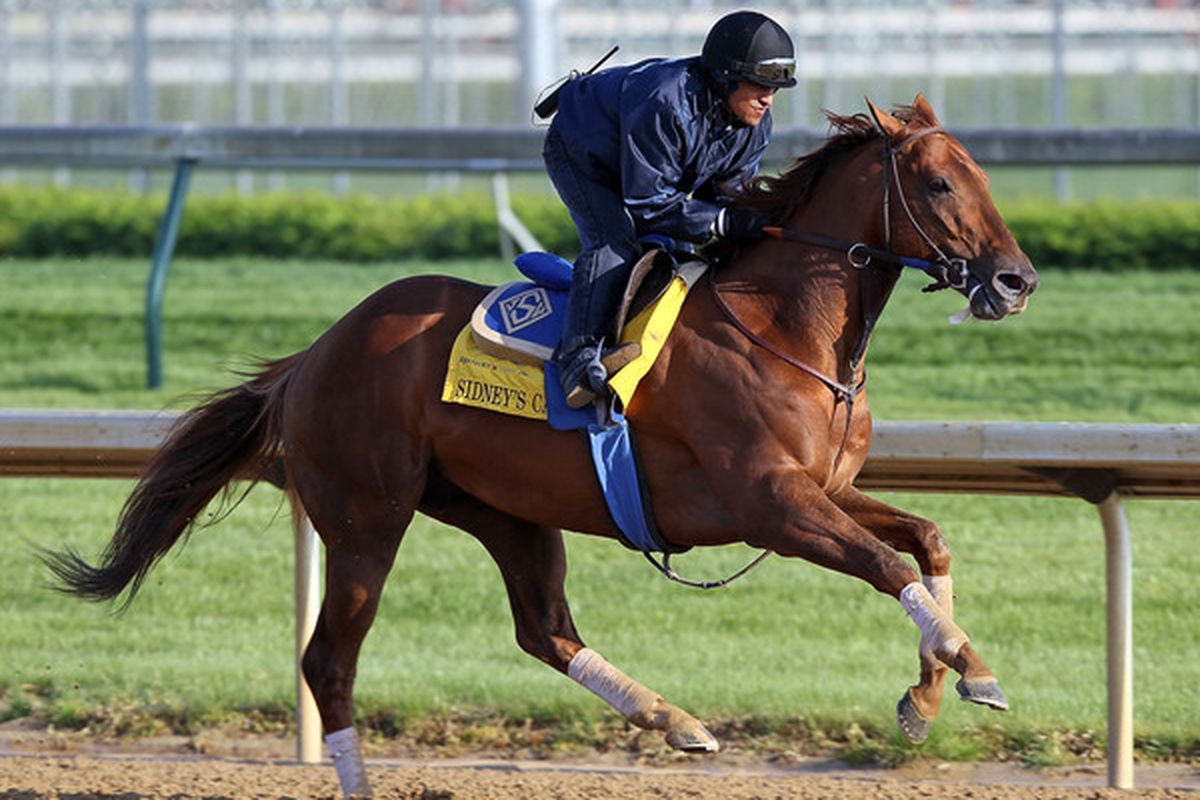 LOUISVILLE, KY - APRIL 28: Sidney's Candy runs on the track during the morning workouts for the Kentucky Derby at Churchill Downs on April 28, 2010 in Louisville, Kentucky.  (Photo by Andy Lyons/Getty Images)